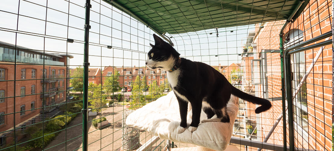 Gekufa Rete per gatti da balcone, 6 x 3 m, rete da balcone