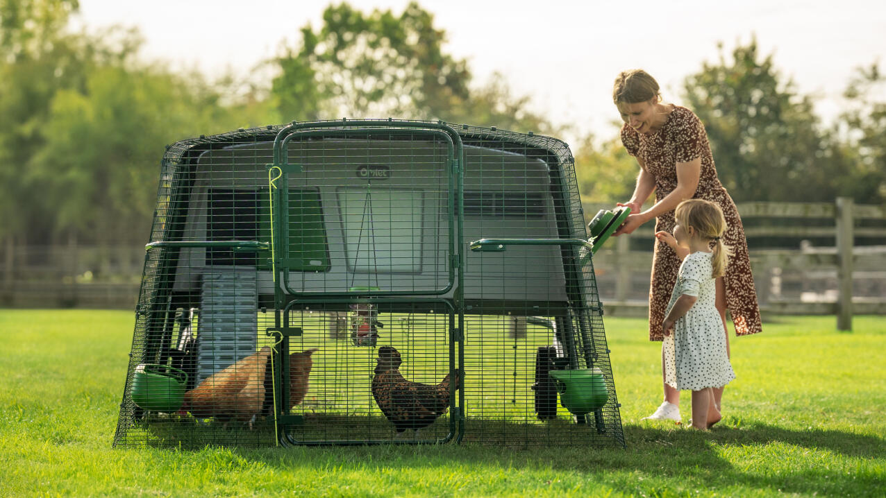 EASYCOMFORT Pollaio da Giardino per 15-18 Galline in Acciaio Zincato e PE  con Tettoia e Serratura, 600x300x195 cm