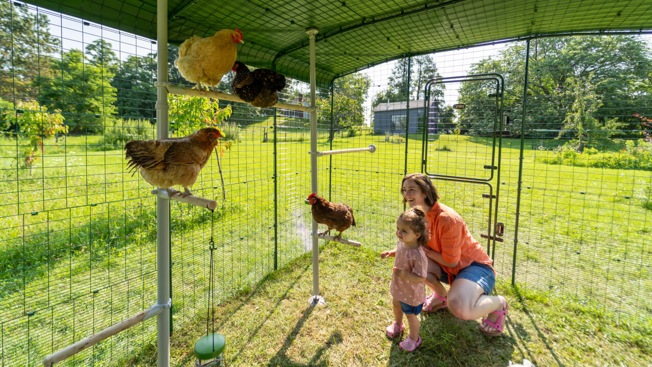 Una madre e una figlia all'interno di un pollaio ambulante che interagiscono con le loro galline.