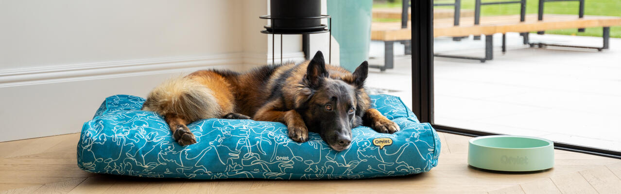 Sheppard tedesco che riposa in un grande cuscino per cani