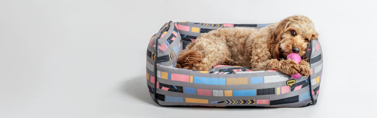 Cane che dorme nel letto per cani Omlet cuscino medio