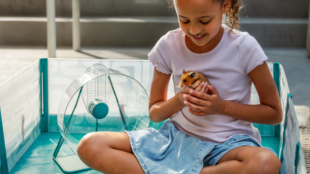 Bambina seduta all'interno del box per criceti Omlet con il suo criceto e i suoi accessori