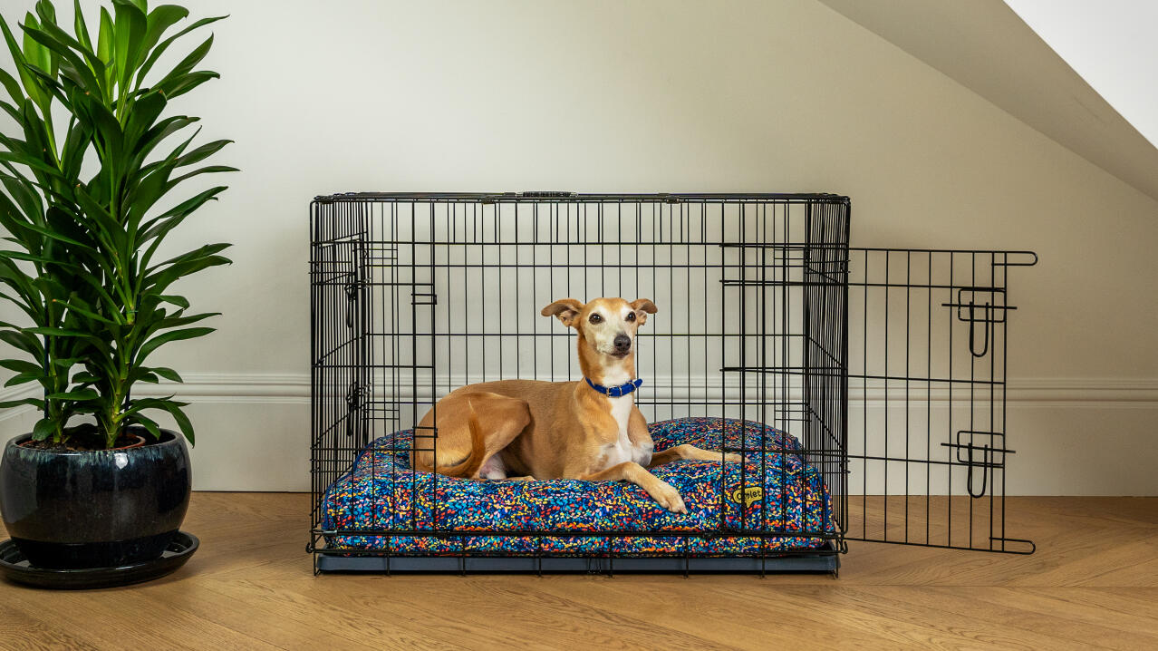 Un cane che riposa su un cuscino letto all'interno di una gabbia