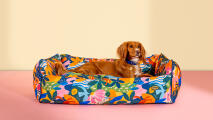 Cane che riposa in una cuccia colorata con imbottitura in patterend di Omlet