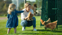 Madre e figlia guardano le galline nella stalla di Eglu pro