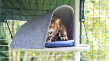 Un gatto si riposa nella tana a piattaforma collegata all'albero per gatti da esterno Freestyle 