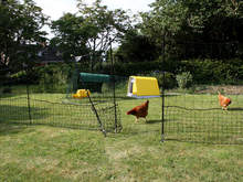 Rete per galline Omlet - 12 metri - Incluso cancello e doppi paletti