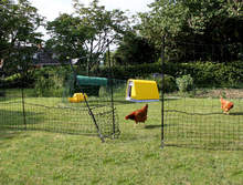 Rete per galline Omlet - 32 metri - Incluso cancello e doppi paletti e corde