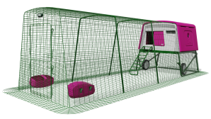 Casa per galline Eglu Cube con 4 metri di recinto e ruote - Viola