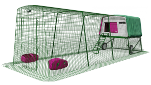 Casa per galline Eglu Cube con 4 metri di recinto e ruote - Viola