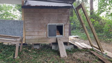 Porta Omlet su cabane-poulaillier in legno.