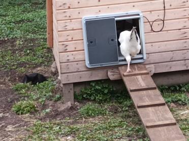 Primo ritorno all'aperto con successo! 