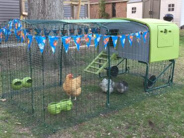 Nuovo prolungamento della corsa e bunting!