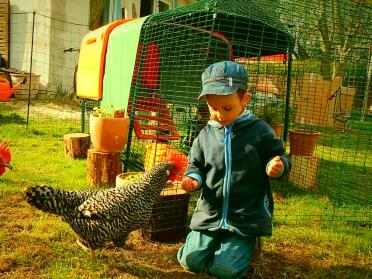 I bambini amano tenere i polli!