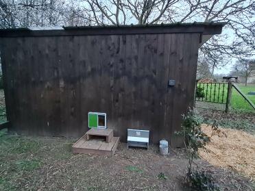 La porta Omlet è stata installata su un grande pollaio in legno. nel giro di 15 minuti, le mie galline erano al sicuro e io ero sollevata di non dover aprire e chiudere la porta.