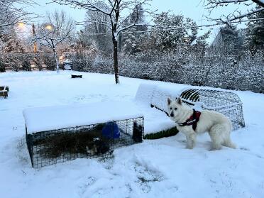 Sotto la neve e ben protetto 