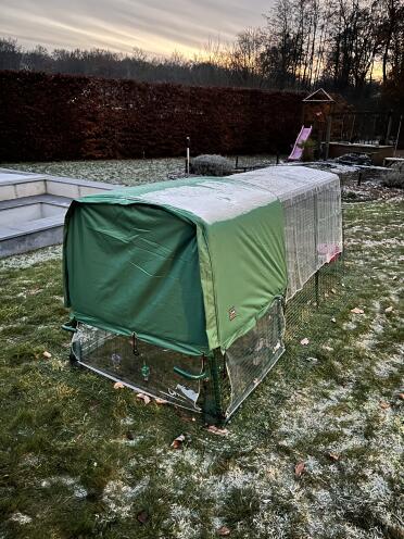 Le mie ragazze sono ben protette per l'inverno