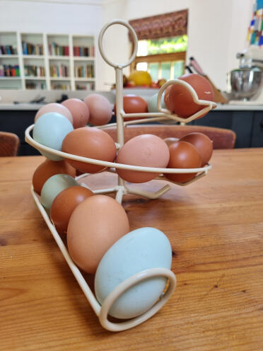 Un perfetto arcobaleno di uova. 