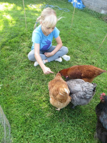 Rebecca con le galline