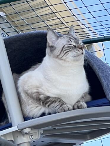 Adoro il mio catio e la vita all'aria aperta!