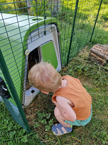 Ottimo prodotto che mio figlio adora