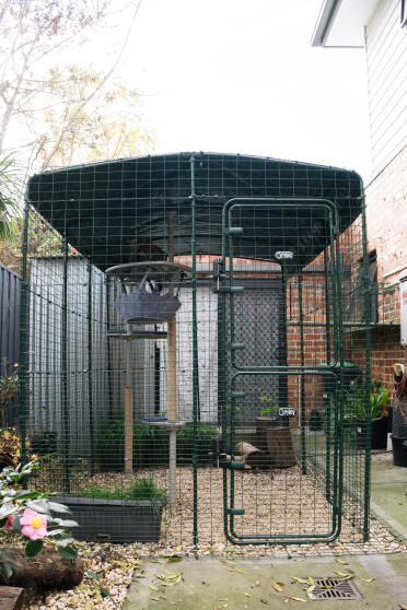 Il nostro catio completo di accessori Freestyle 