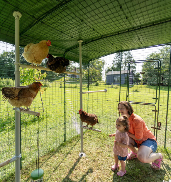 Una madre e una figlia all'interno di un pollaio ambulante che interagiscono con le loro galline.