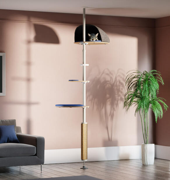 Freestyle albero per gatti da interno da pavimento a soffitto - il kit snuggler.