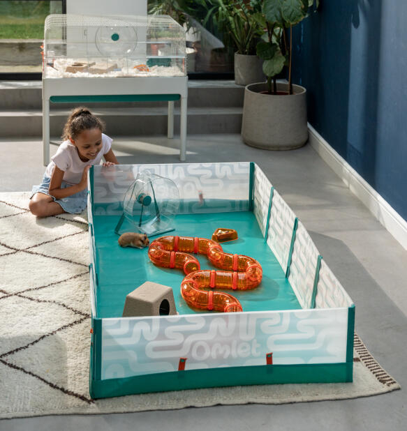 Bambina che guarda il suo criceto in un box a scomparsa