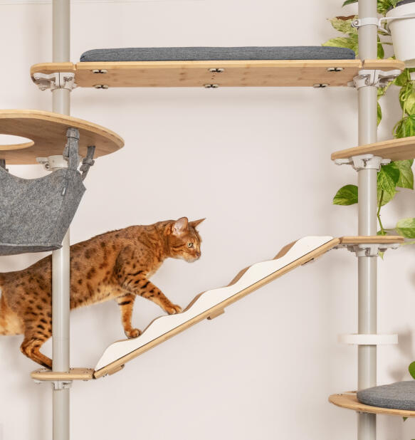 Un gatto che utilizza l'albero per gatti da interno Freestyle con vari accessori.