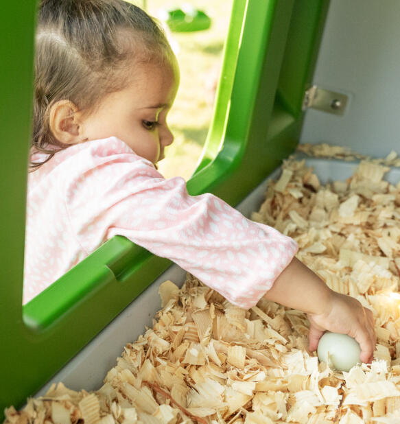 Bambina che entra in una cassetta di nidificazione per raccogliere un uovo