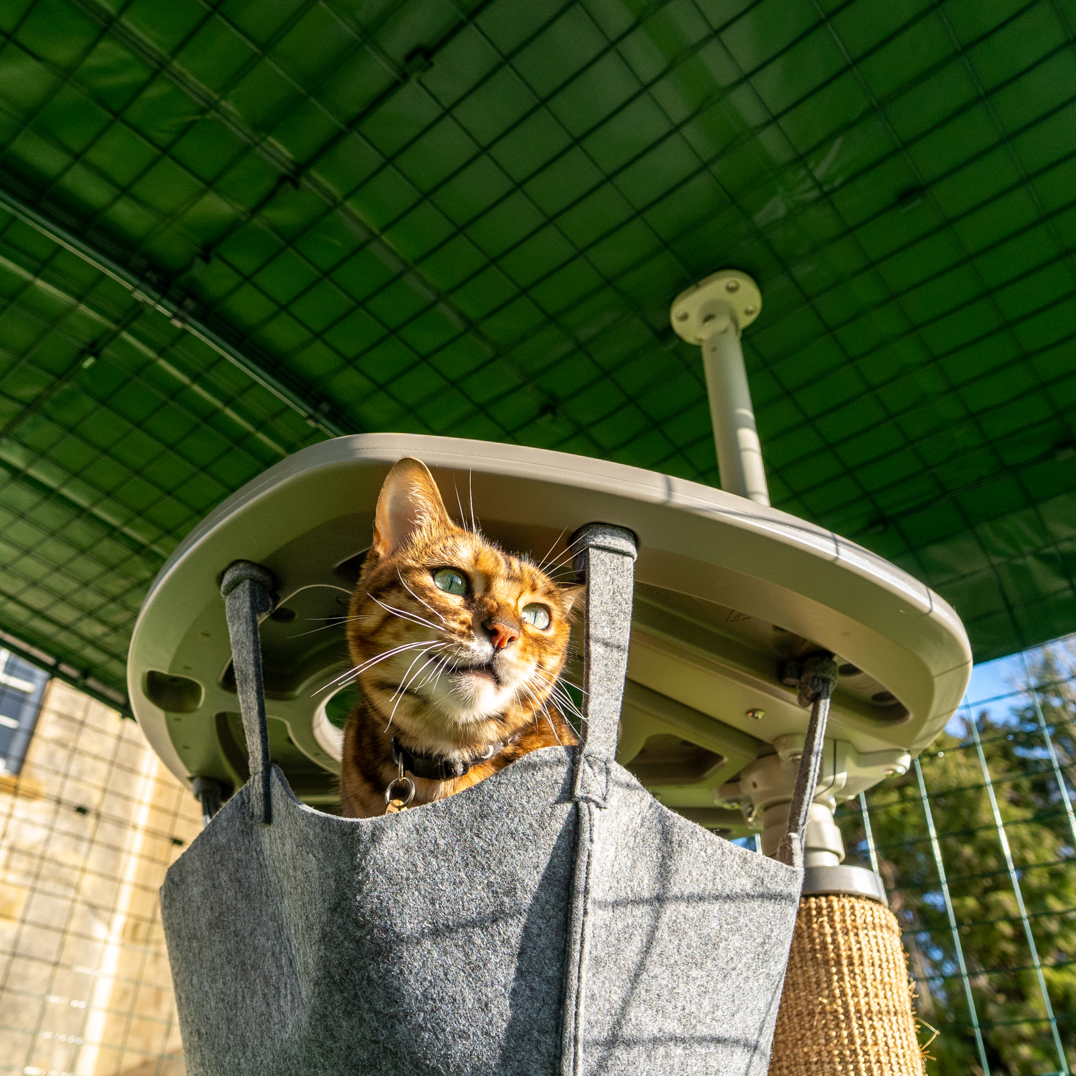 6.5ft/13.1ft Mantieni Giardino Cortile E Divano Sicuro Gatti