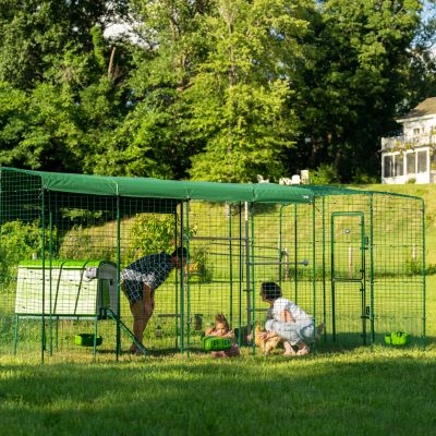 Recinto Walk-In per gatti: la protezione perfetta per i tuoi