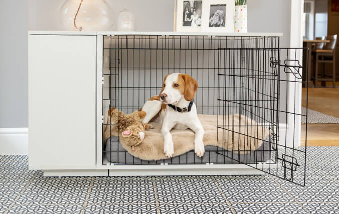 cane che dorme in un kennel moderno
