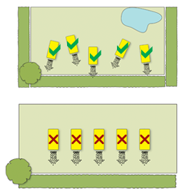 Positioning a Beehaus.
